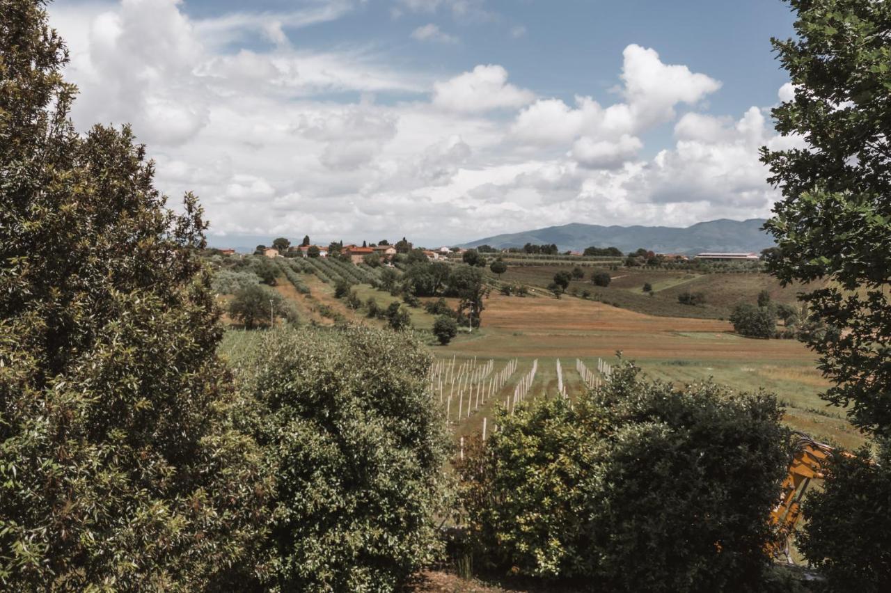 Вілла Agriturismo S.Angelo Фояно-делла-К'яна Екстер'єр фото